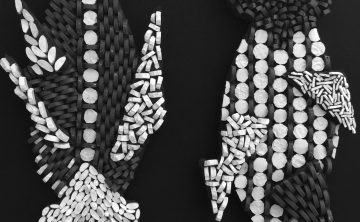 Savage Curiosities: An exhibition of works on paper and mosaics by Karen Ami and Pamela Irving