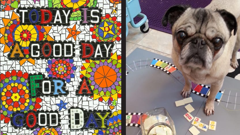 Left: Good Day by Krystie Rose Millich, 2016. H18”x W23”x D1”. Ceramic tiles, glass tiles and objects, beads, ceramic and vintage letters, found objects. Installed in a private residence. Photo: Brian Birlauf. Right: Studio Pug, Buster Brown, helping with Children’s Hospital commission, 2014. Photo: Krystie Rose Millich.
